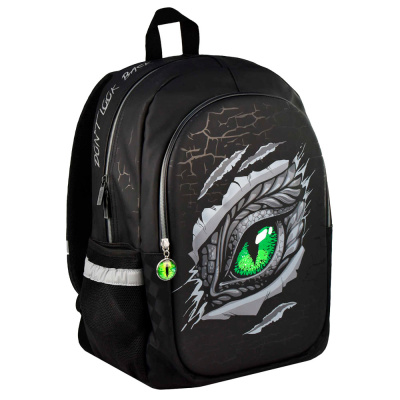 Рюкзак школьный Глаз Дракона Феникс ФЕ-64140 1